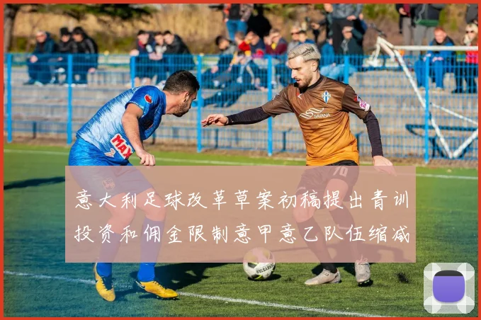 意大利足球改革草案初稿提出青训投资和佣金限制意甲意乙队伍缩减至18队