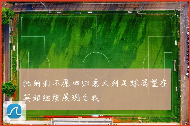 托纳利不愿回归意大利足球渴望在英超继续展现自我